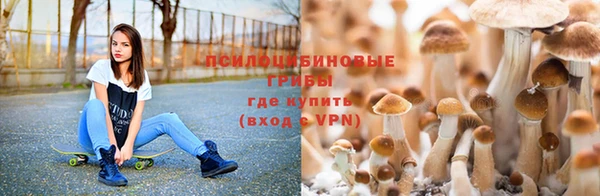 крисы Покров