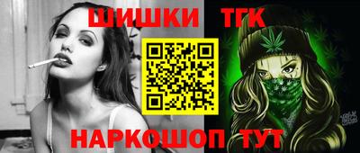 шишки Славгород