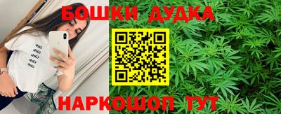 шишки Славгород