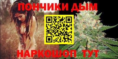 шишки Славгород