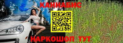 шишки Славгород