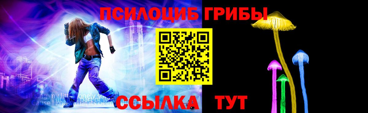 Россошь  Галлюциногенные грибы Psilocybe  Вход с VPN 